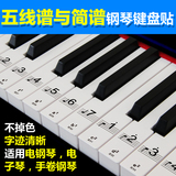 电子琴数码钢琴键盘贴纸88键61键54键透明手卷钢琴键贴五线谱简谱