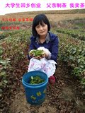 日照绿茶2016新茶茶叶散装特级春茶有机农家无公害炒青茶叶包邮