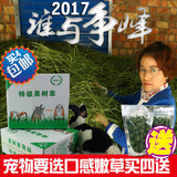 2016年特级新鲜果树草250g 热风烘干兔子龙猫陆龟荷兰猪4份包邮