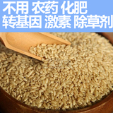 土著农耕糙米发芽有机大米杂粮新米纯天然农家胚芽米特级自产500g