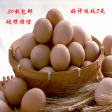皖北农家散养新鲜土鸡蛋  草鸡蛋 柴鸡蛋  纯天然无污染健康营养