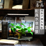 Haqos喜高 子弹头创意鱼缸生态水族箱办公桌面迷你小型鱼缸水草缸