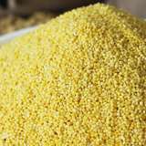 农产品黄小米小黄米2015新米 月子米农家杂粮食小米粥500g一斤