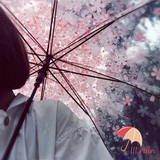 透明樱花伞 创意雨伞小清新长柄伞 日本韩国晴雨伞 折叠男女 包邮