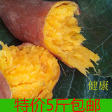 广西新鲜黄心红薯鸡蛋香黄番薯有机农家现挖生甜地瓜5斤装包邮