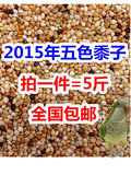 中小鹦鹉鸟食饲料五色红黍子虎皮牡丹玄凤鹦鹉混合营养粮谷子包邮