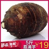 【天天特价】广西荔浦芋头 有机生态蔬菜新鲜香芋 粉香糯荔浦芋头