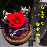进口永生花礼盒巨型玫瑰情人节送女友创意生日礼物玻璃罩保鲜干花