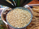 15农家自产有机燕麦米五谷杂粮燕麦米仁坝上莜麦裸燕麦粒500g燕麦