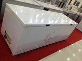 XINGX/东岳 BD/BC-210E 小冰箱冷 柜 家用商用 卧式单温冷冻冷藏