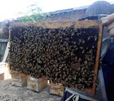 二零一六年的新槐花蜜，农家自产零加工100%纯原蜂蜜液态蜜分离蜜