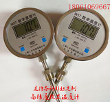 WST/DTM411数显温度计 数字电子反应釜带探头温度表 工业测温仪