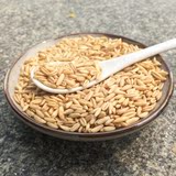农家自产燕麦米燕麦仁优质全胚芽裸燕麦养生五谷杂粮250g第三主粮