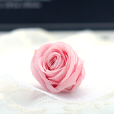 你最珍贵 永生花DIY材料  保鲜花花材批发 乒乓小玫瑰2cm3cm