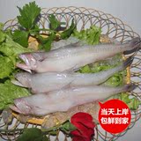 新鲜龙头鱼 豆腐鱼 当天到岸新货 500g