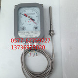 温度控制器 BWY-802ATH  变压器温度控制器 油面温控器