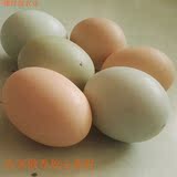 土鸡蛋新鲜散养农家宝宝辅食月子纯天然原生态五谷杂粮滋补柴鸡蛋