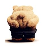 正版ted熊会说话毛绒公仔玩具娃娃泰迪熊生日礼物女生录音电动