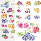s025 水彩水墨画水果装饰插画食物食品果蔬psd格式ps分层设计素材
