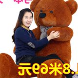 2016熊熊靠垫/抱枕毛绒玩具玩偶生日礼物大号2岁女毛绒布艺类玩具