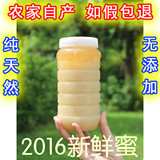 2016纯天然农家自产无添加蜂蜜油菜花蜜清热润燥纯蜜1000g包邮