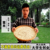 贵州特产农家自产小薏米仁新货 特级薏米500g散装杂粮粗粮米
