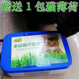 水晶猫草营养猫草种子猫草套餐送猫薄荷猫咪去毛球调理肠胃猫零食