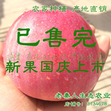 正宗秦冠苹果甜粉面苹果不脆新鲜水果红秦冠特价亏本10斤包邮批发