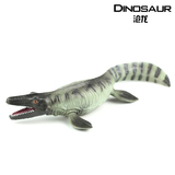 正版散货 沧龙 海王龙 稀有仿真恐龙模型/恐龙玩具 /儿童认知