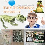 2016考古挖掘恐龙化石 创意diy儿童手工玩具 早教益智仿真骨架模