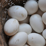[3-5天发货]守拙园新鲜大鹅蛋12枚