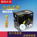 骄阳乒乓正品 银河yinhe 40+ 新材料铂力一星乒乓球无缝球塑料球