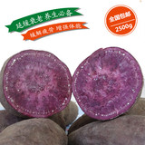 高州新鲜紫薯紫罗兰番薯紫心红薯地瓜山芋粗杂粮蔬菜 包邮5斤装