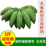 包邮广东高州新鲜米蕉粉蕉糯米蕉水果香蕉无催熟剂非海南皇帝蕉