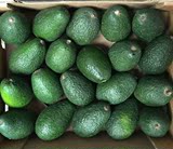 墨西哥原装进口牛油果大果鳄梨孕妇首选水果整箱20个广东省包邮