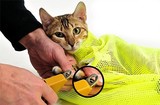 包邮多功能猫咪洗澡专用洗猫袋子猫包笼剪指甲打针固定袋宠物用品