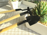 家庭园艺迷你三件套实用装铲 锹 耙 多肉种植 桌面盆栽小工具