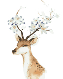 斐兰朵 精品数字油画diy客厅多彩卡通动物手绘画鹿头花 墨鹿
