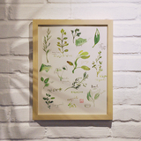 特色手工 叶子画树叶 植物立体画框装饰画 现代简约 实物画 客厅