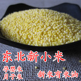 东北五常小黄米粮食小米黄金米月子米宝宝粥米不染色杂粮新米5斤