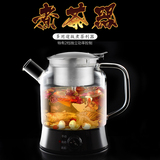 心好YSH604 蒸汽煮茶器 可蒸煮黑茶花茶养生益生茶 开茶器家用