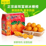 预售麻阳冰糖橙 中果10斤包邮 湖南坡地富硒新鲜水果有机橙子包甜
