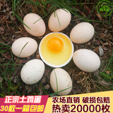 【30枚装】陕西正宗农家散养土鸡蛋笨鸡蛋柴鸡蛋新鲜初生鸡蛋包邮