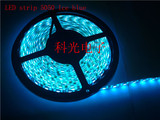led灯带5050双面板12V防水/不防水60珠超亮白/暖白/红/蓝/绿/RGB