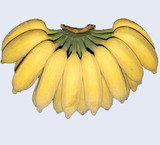 新鲜香蕉水果无催熟剂特产有机食品米蕉非海南皇帝蕉 5斤包邮