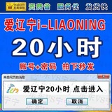 爱辽宁i-Liaoning20小时随意行跨月网卡套餐账号 非激活码随意用