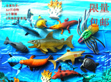 包邮海底生物塑胶仿真海洋动物模型海底世界玩具螃蟹龙虾鲨鱼鲸鱼