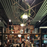 北欧个性主题酒吧音乐餐厅植物吊灯复古工业风咖啡厅阳台装饰灯具