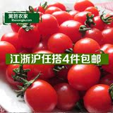 篱笆农家-新鲜圣女果450g迷你小番茄西红柿沙拉菜小柿子满4斤包邮