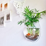 包邮办公室花瓶玻璃亚克力鱼缸椭圆球形花盆盆栽挂墙壁挂墙上绿植